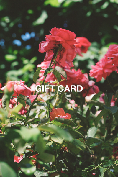 Gift Card - paa
